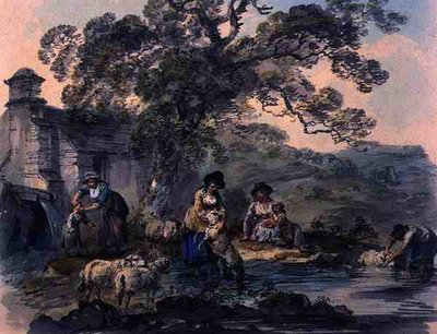 Cwm Rheidol, Cardiganshire