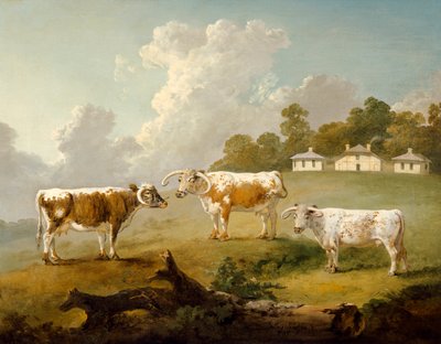 Manzarada Üç Uzun Boynuzlu Sığır (tuval üzerine yağlı boya) by Julius Caesar Ibbetson