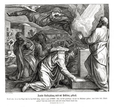 David insanları numaralandırdığı için cezalandırıldı, 2 Samuel by Julius Schnorr von Carolsfeld