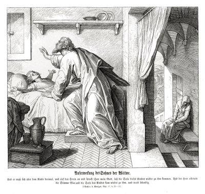 Dul kadının oğlunun canlanması by Julius Schnorr von Carolsfeld