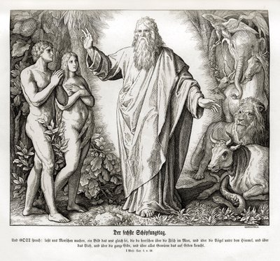 Yaratılışın altıncı günü, Genesis by Julius Schnorr von Carolsfeld