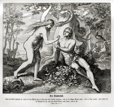 Düşüş, Genesis by Julius Schnorr von Carolsfeld