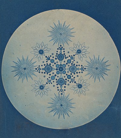 [Diatomların Frustules], ca. 1870. by Julius Wiesner.