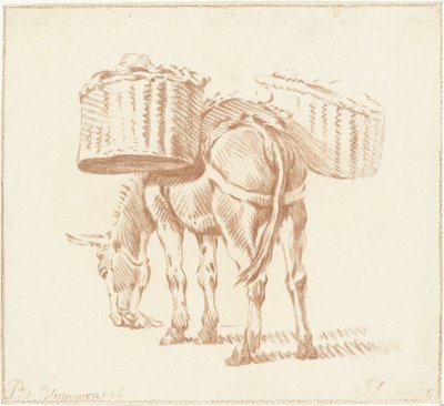 yüklü eşek by Jurriaan Cootwijck
