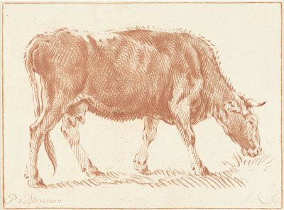 otlayan inek by Jurriaan Cootwijck