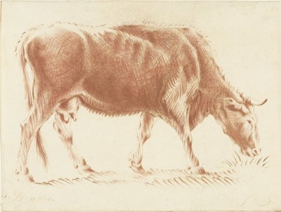 otlayan inek by Jurriaan Cootwijck