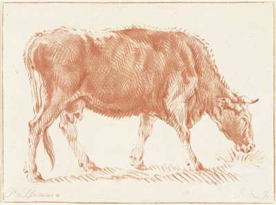 otlayan inek by Jurriaan Cootwijck
