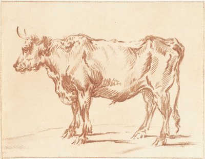 ayakta öküz by Jurriaan Cootwijck
