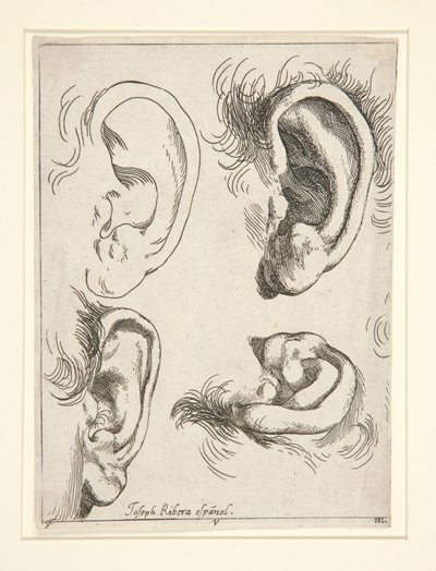 Dört Kulak Çalışmaları by Jusepe de Ribera