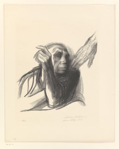 Käthe Kollwitz, eli omzunda yaşlı bir kadın olarak Ruf des Todes (orijinal başlık) Ölüm (dizi adı) Tod (orijinal seri adı) by Käthe Kollwitz (signed by artist)