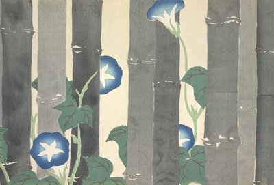Asagao, Momoyo-gusa