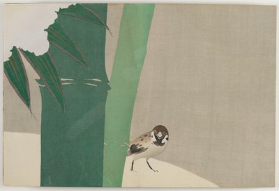 Yüz Dünyanın Çiçekleri (Momoyogusa): Karda Bambu (Secchuchiku) by Kamisaka Sekka