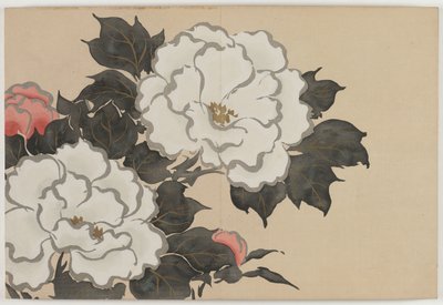 Yüz Dünyanın Çiçekleri (Momoyogusa): Şakayıklar (Fukamigusa) by Kamisaka Sekka