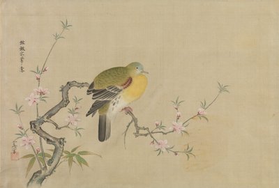 Çin Tablolarının Kopyalar Albümü, 17. yüzyıl. by Kanô Yôboku Tsunenobu