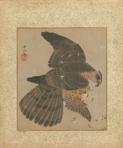 Şahinler ve Hat Albümü, 17.-18. yüzyıl. by Kanô Yôboku Tsunenobu