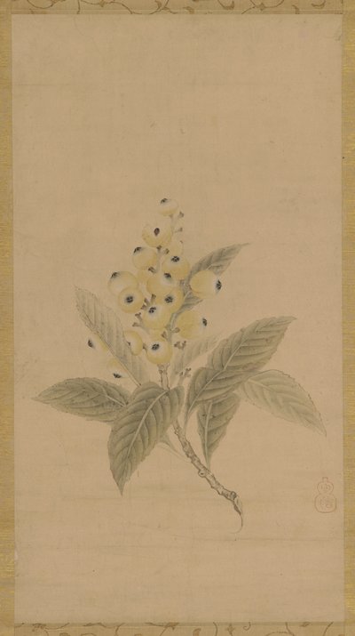 Bir muşmula dalı, Edo dönemi, 17. yüzyıl. by Kanō Tan’yū