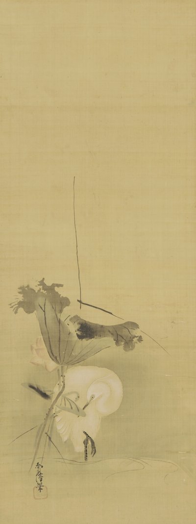 Balıkçıl ve nilüfer, Edo dönemi, 17. yüzyılın ortası - 18. yüzyılın başı (ipek üzerine mürekkep ve renk) by Kano Tsunenobu