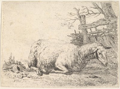 Ahşap bir çitin yanında, bacakları vücudunun altında katlanmış halde yatan bir koyun, o..., ca. 1655. by Karel Du Jardin