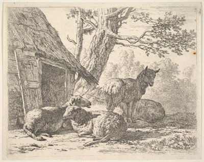 Dört koyun, bir koyun, bir ahırın yanında yerde yatan diğer üç koyun arasında duruyor..., 1658. by Karel Du Jardin