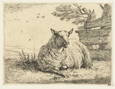 Bir çitin yanında koyun by Karel Du Jardin