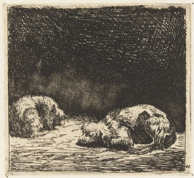 Uyuyan köpek ve kedi by Karel Du Jardin