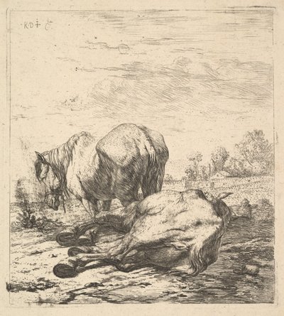 İki At, 17. yüzyıl. by Karel Du Jardin
