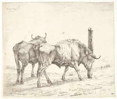 İki Öküz by Karel Du Jardin