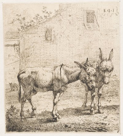 iki eşek Hayvanlar (dizi adı) by Karel Du Jardin