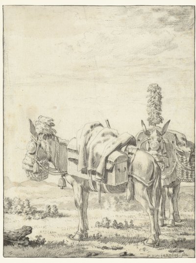 iki katır by Karel Du Jardin