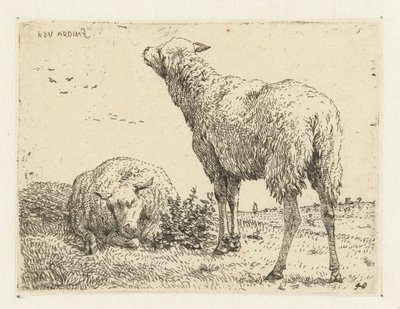 iki koyun by Karel Du Jardin
