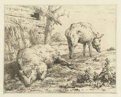 iki domuz by Karel Du Jardin