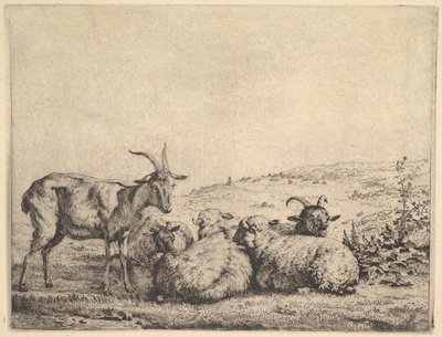 İki Keçi ve Üç Koyun, 1655. by Karel Du Jardin