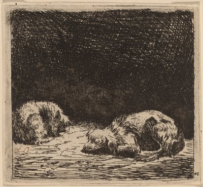 Köpek ve kedi by Karel Dujardin