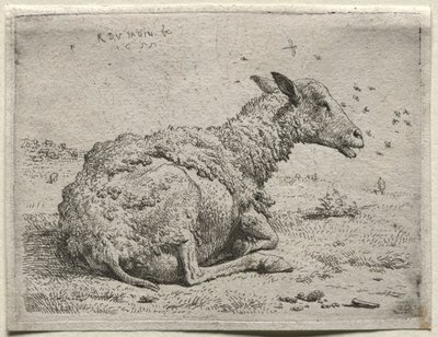 Koyunlar ve Sinekler. by Karel Dujardin