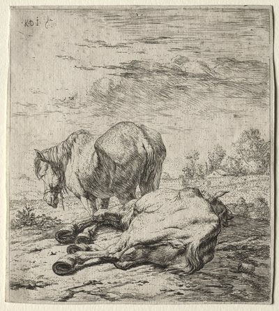 iki at by Karel Dujardin