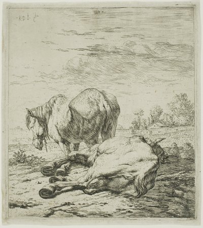 İki at by Karel Dujardin