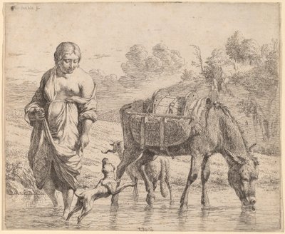 Dereyi Geçen Kadın by Karel Dujardin
