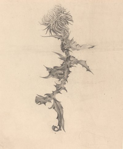 devedikeni by Karel Vitezslav Masek