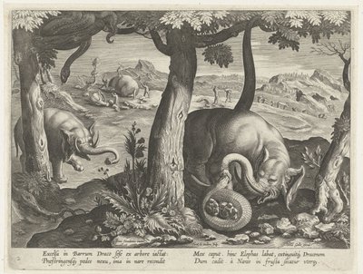 Olifant savaşta argoyla tanıştı Jachttaferelen (dizi adı) Bestiary