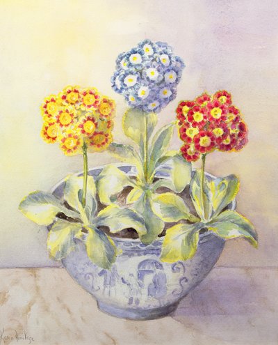 Çin tenceresinde kulak kepçesi by Karen Armitage
