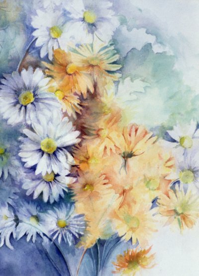 Krizantem, beyaz ve kayısı by Karen Armitage