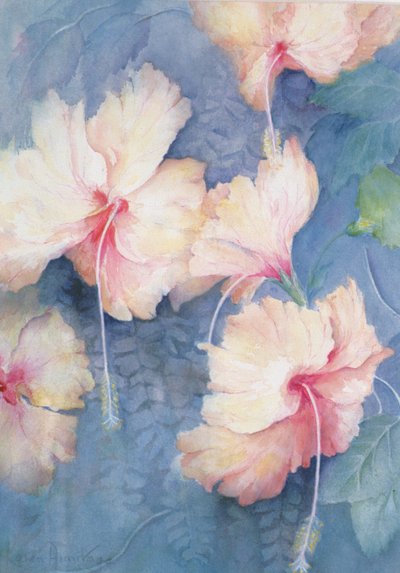 Hibiskus, kayısı by Karen Armitage