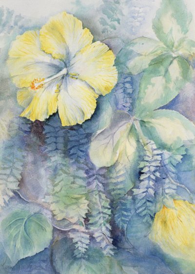 ebegümeci, sarı by Karen Armitage