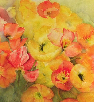 İzlanda Gelincikleri Nudicaule by Karen Armitage
