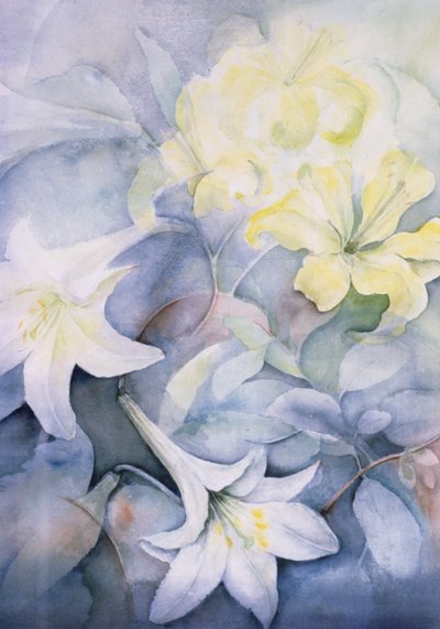 Lilium, Hearts Desire ve Imperiale by Karen Armitage