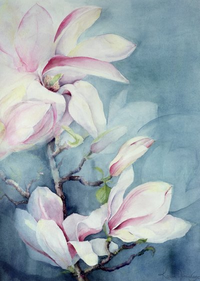 Manolya Soulangeana (dikey) by Karen Armitage
