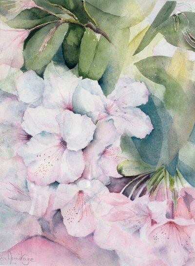 sabah büyüsü by Karen Armitage