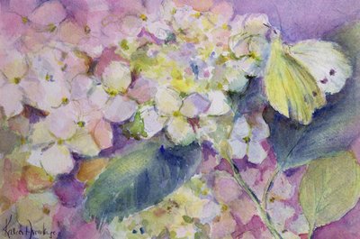 Soluk Bulutlu Sarı Kelebek, Ortanca Üzerinde Colias Hyale by Karen Armitage