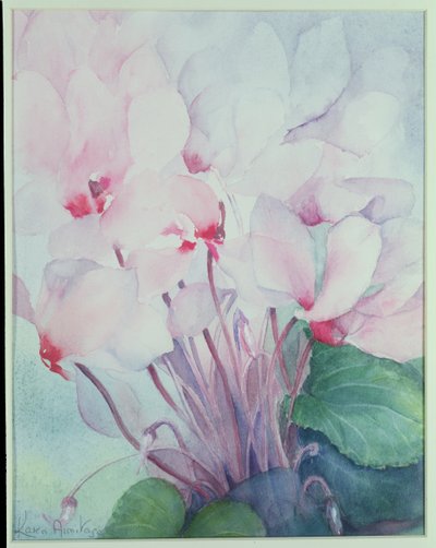 Pembe Siklamen, Victoria by Karen Armitage