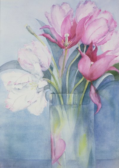 Pembe Papağan Laleler ve Marlette by Karen Armitage